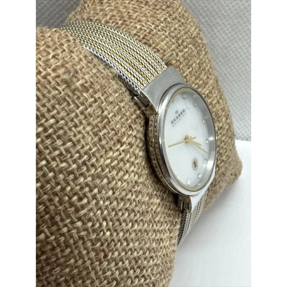 Skagen Ancher 355SSGS Women Stainless Steel Mesh Analog Dial Quartz Watch JNA900